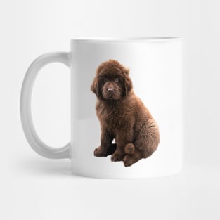 Newfoundland Chocolate Brown Puppy Dog Mug